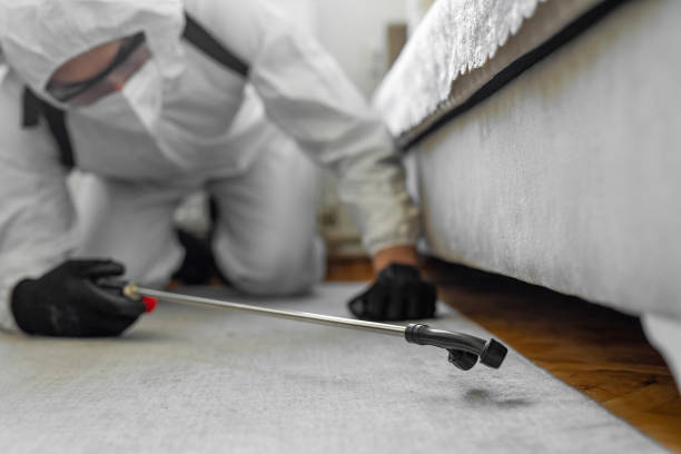 Professional Bed Bug Control technician working in Story County County, IA